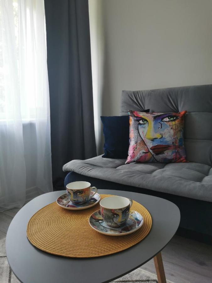 Upes Apartamentai Биржай Экстерьер фото