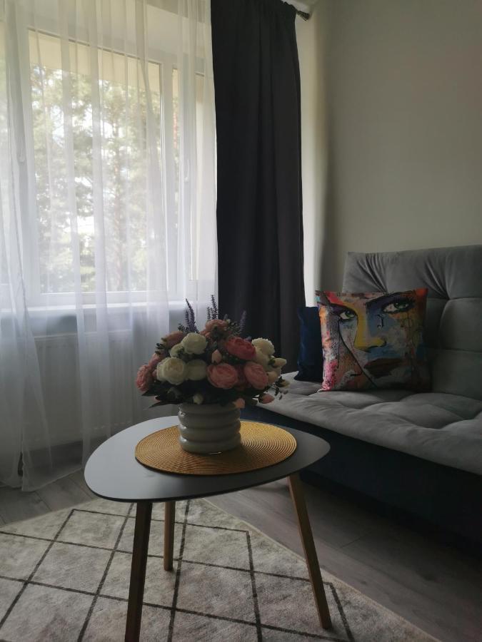 Upes Apartamentai Биржай Экстерьер фото